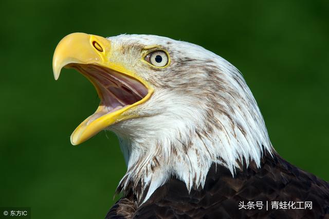 补硒对眼睛有好处吗(补硒对眼睛的作用)-硒宝网