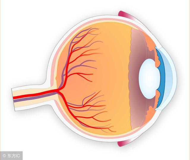 补硒对眼睛有好处吗(补硒对眼睛的作用)-硒宝网