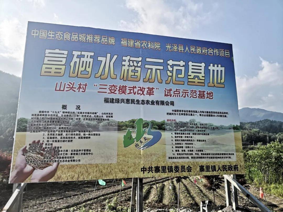 国家为什么发展富硒产业（富硒产业发展规划）-硒宝网