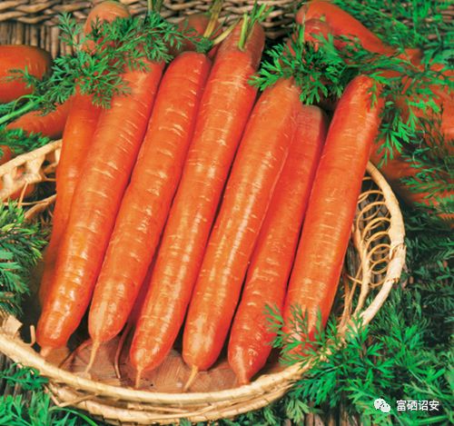 含硒高的水果(哪些水果中含硒高)-硒宝网