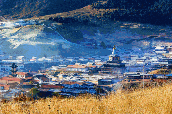 为什么禁种硒砂瓜（硒砂瓜的危害）-硒宝网