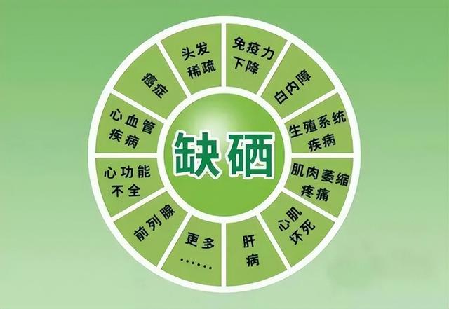 富硒食品对人体有什么好处（富硒食品的作用和功效）-硒宝网