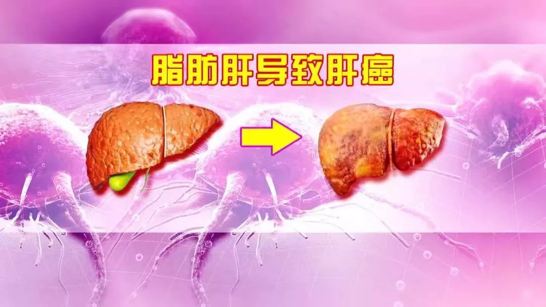 含硒多的食品(食品含硒标准)-硒宝网