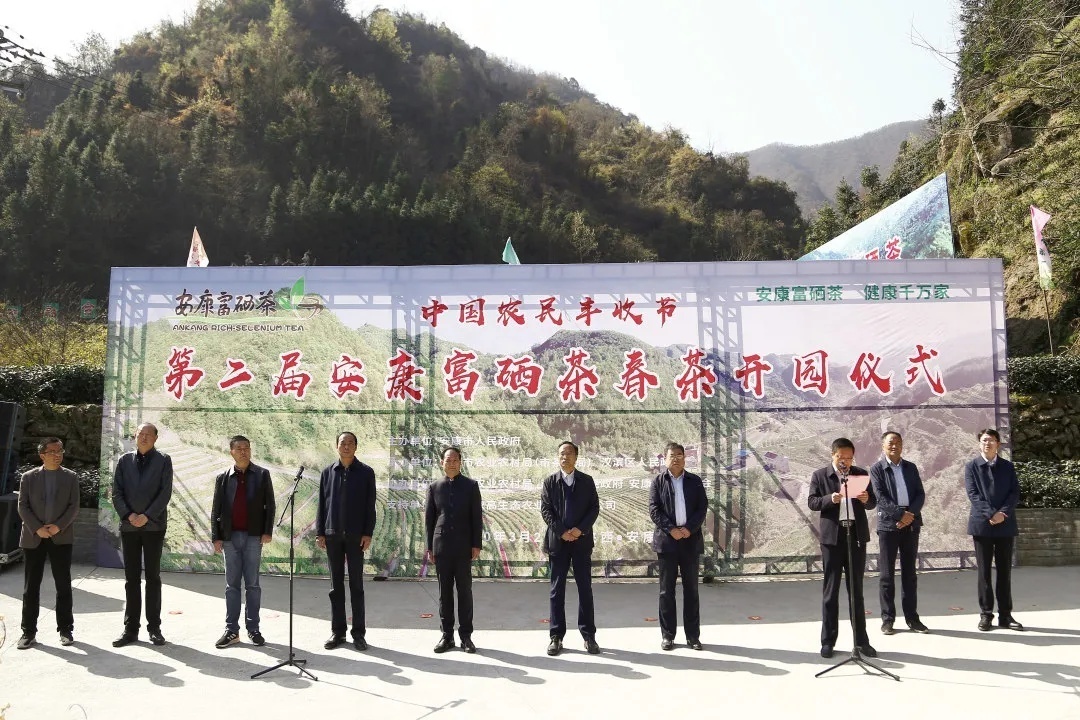 安康富硒茶品牌介绍(安康富硒茶发展情况)-硒宝网