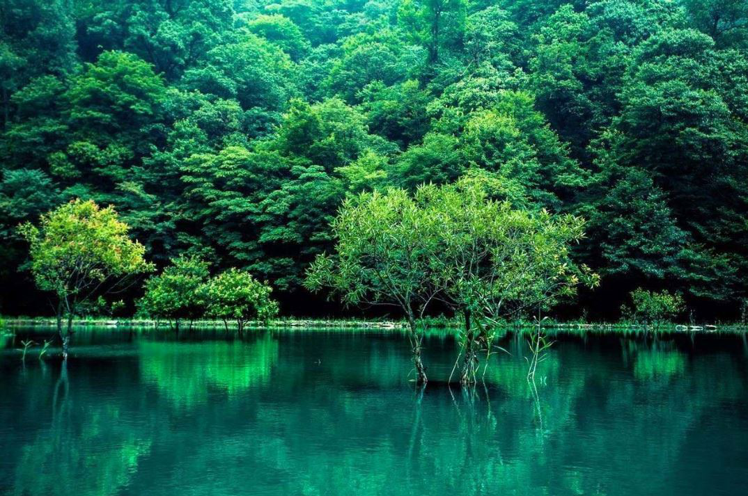 中国十大富硒县是哪些（含富硒最多的地区是哪些地方）-硒宝网