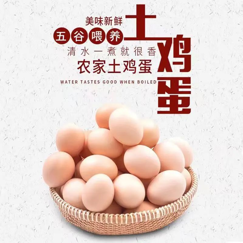富硒鸡蛋和普通鸡蛋有什么区别（比土鸡蛋营养价值和功效哪个更好）-硒宝网