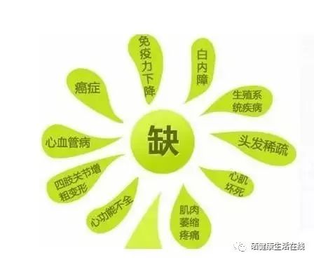 什么补硒效果最好(什么东西补硒最好)-硒宝网