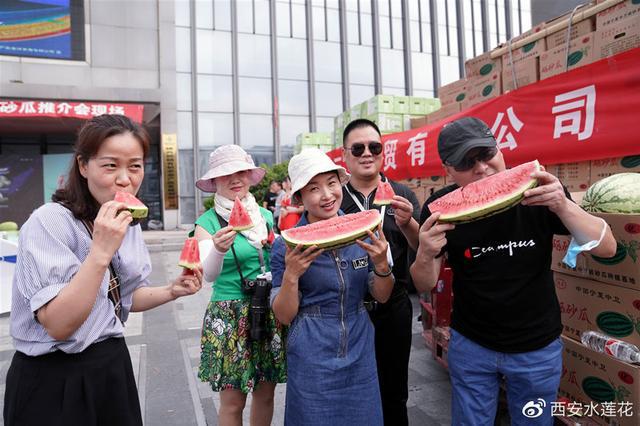 宁夏硒砂瓜特点(宁夏砂瓜什么时候成熟)-硒宝网