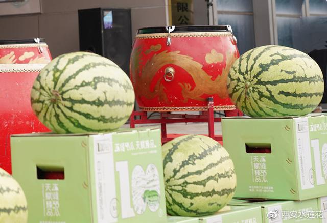 宁夏硒砂瓜特点(宁夏砂瓜什么时候成熟)-硒宝网