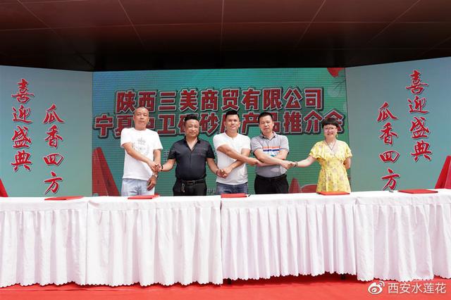 宁夏硒砂瓜特点(宁夏砂瓜什么时候成熟)-硒宝网