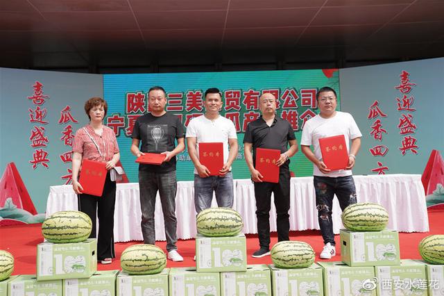 宁夏硒砂瓜特点(宁夏砂瓜什么时候成熟)-硒宝网