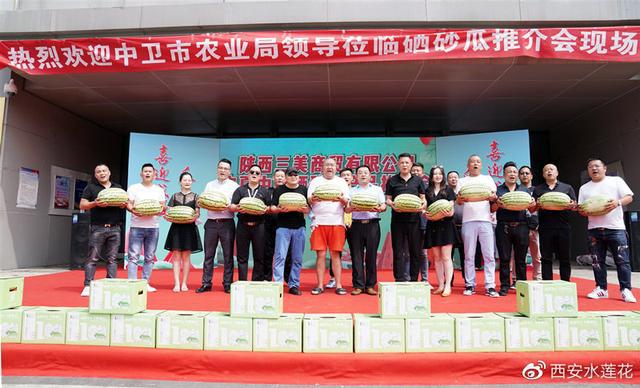 宁夏硒砂瓜特点(宁夏砂瓜什么时候成熟)-硒宝网