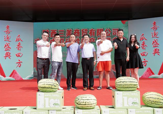 宁夏硒砂瓜特点(宁夏砂瓜什么时候成熟)-硒宝网