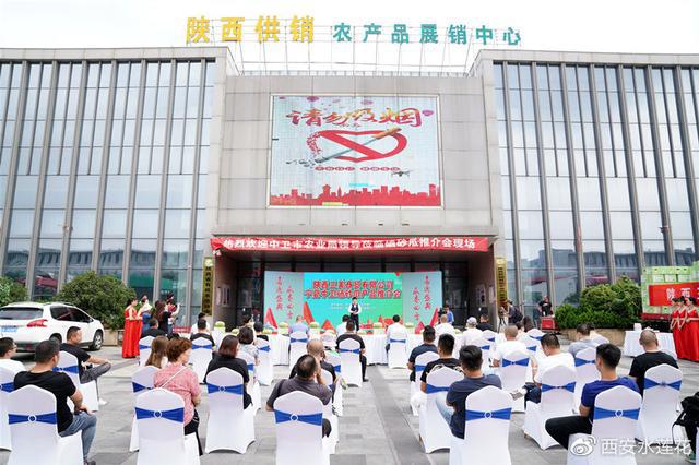 宁夏硒砂瓜特点(宁夏砂瓜什么时候成熟)-硒宝网