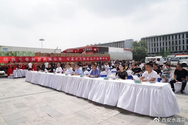 宁夏硒砂瓜特点(宁夏砂瓜什么时候成熟)-硒宝网