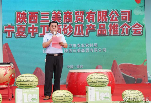 宁夏硒砂瓜特点(宁夏砂瓜什么时候成熟)-硒宝网