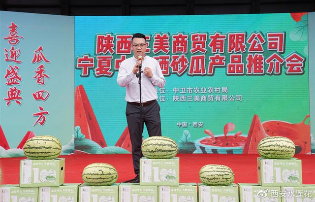 宁夏硒砂瓜特点(宁夏砂瓜什么时候成熟)-硒宝网