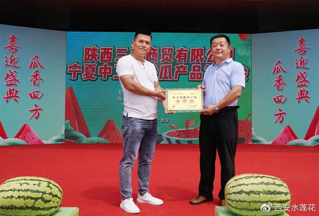 宁夏硒砂瓜特点(宁夏砂瓜什么时候成熟)-硒宝网