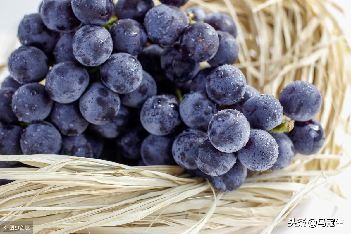 硒的水果有哪些之嘉宝果(水果含硒量)-硒宝网