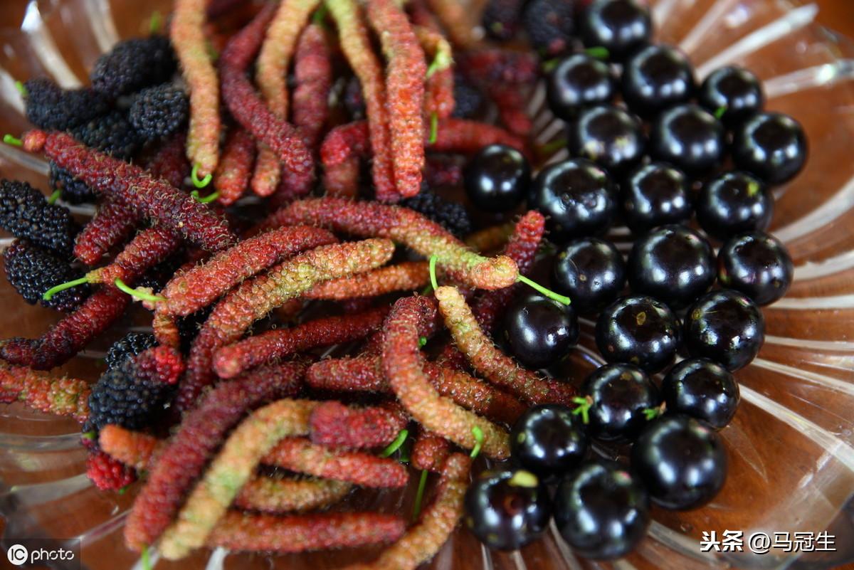 硒的水果有哪些之嘉宝果(水果含硒量)-硒宝网