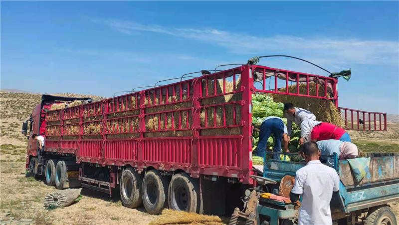 宁夏硒砂瓜特点(宁夏砂瓜好吃吗)-硒宝网