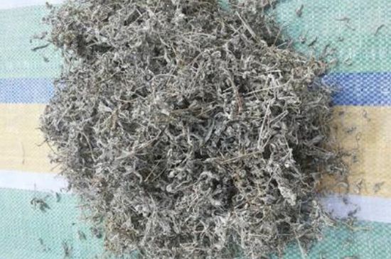 恩施富硒藤茶有什么功效(恩施藤茶骗局是真的吗)-硒宝网