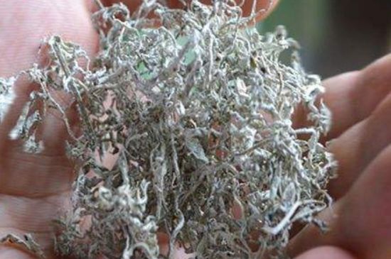 恩施富硒藤茶有什么功效(恩施藤茶骗局是真的吗)-硒宝网