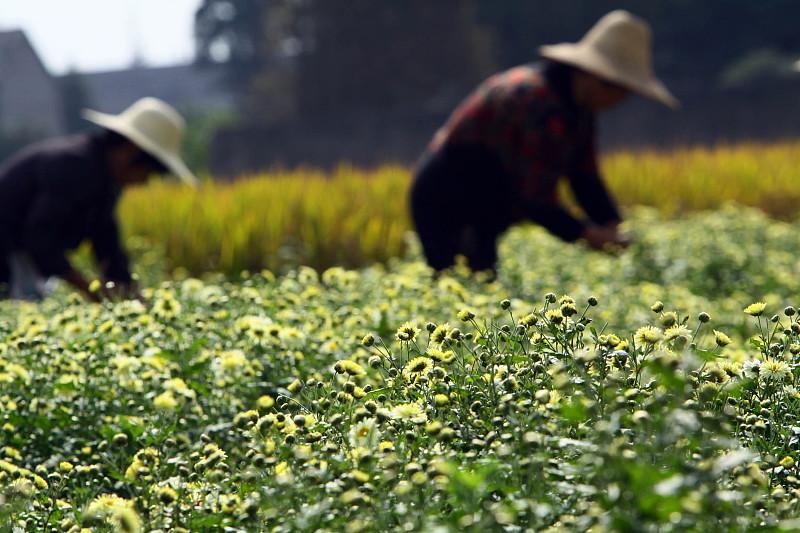 富硒产品是真的吗（真有这么神奇么）-硒宝网