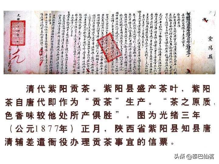 紫阳富硒茶属于什么茶类(品种是绿茶还是红茶)-硒宝网