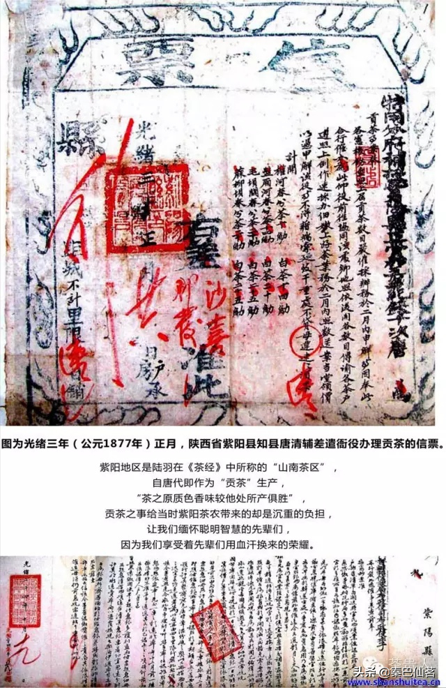 紫阳富硒茶属于什么茶类(品种是绿茶还是红茶)-硒宝网