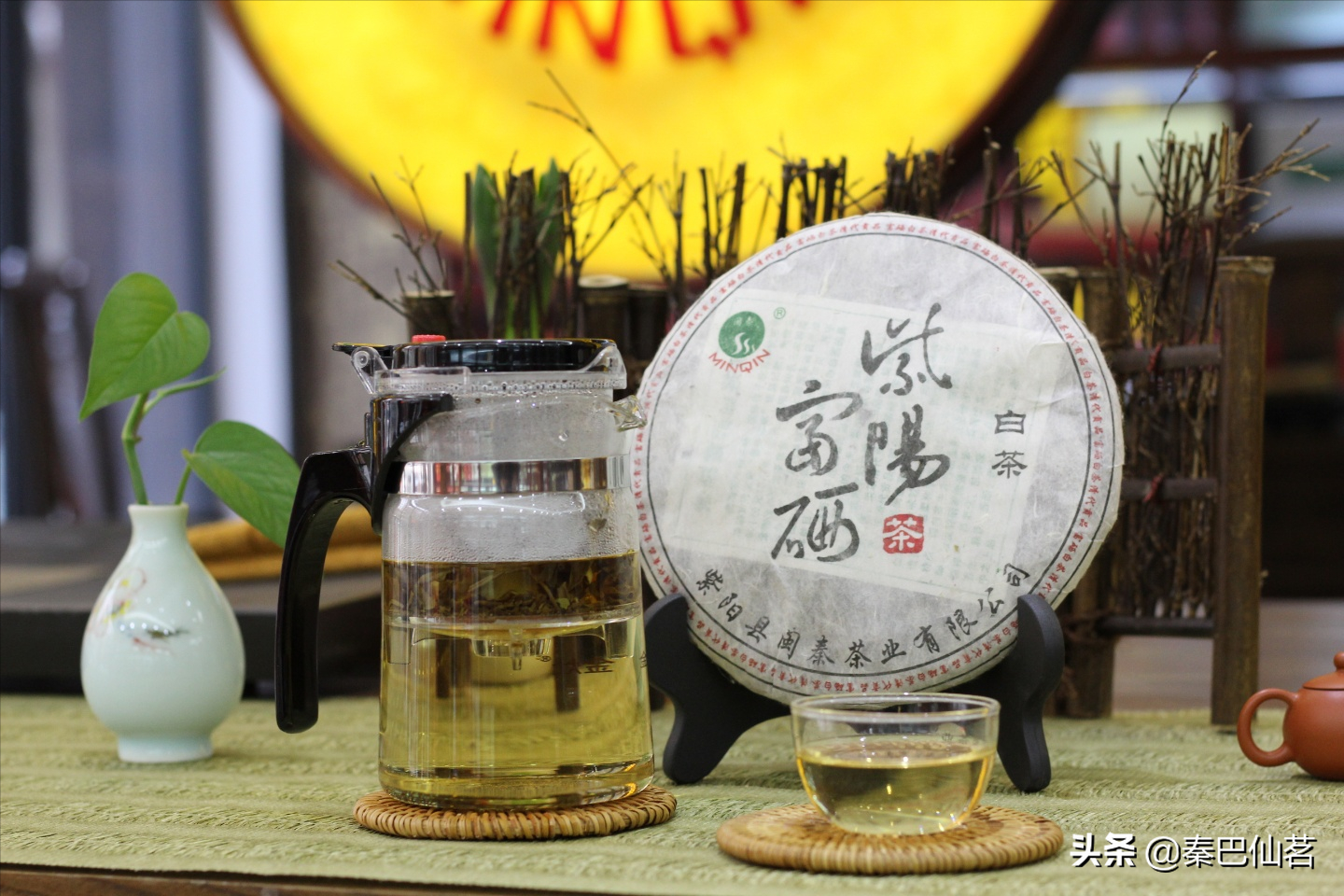 紫阳富硒茶属于什么茶类(品种是绿茶还是红茶)-硒宝网