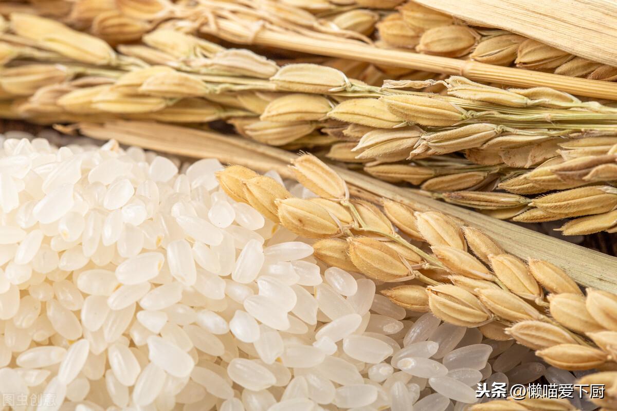 富硒米和普通米的区别在哪（口感有什么有点和不同）-硒宝网