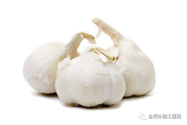 什么食品含硒(食品含硒有什么好处)-硒宝网