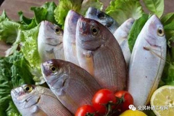 什么食品含硒(食品含硒有什么好处)-硒宝网