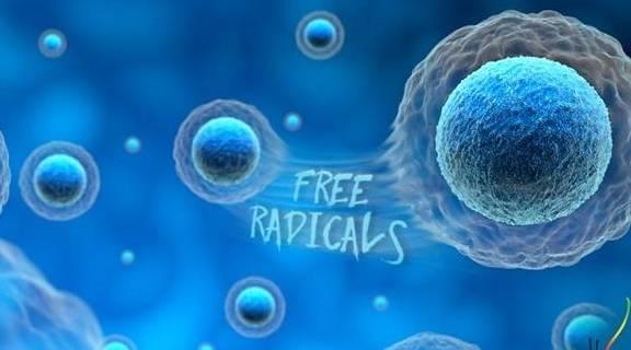 硒的作用和补硒的好处（缺硒有什么症状）-硒宝网