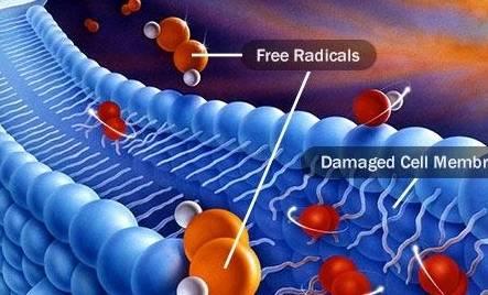 硒的作用和补硒的好处（缺硒有什么症状）-硒宝网