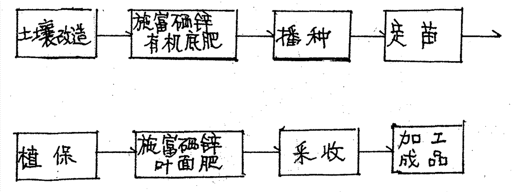 中国富硒肥料排名(富硒肥厂家)-硒宝网
