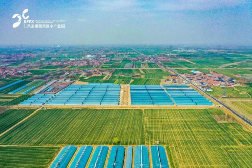 富硒西瓜产地（富硒西瓜产地在哪里）-硒宝网