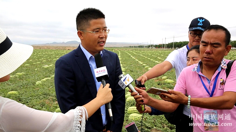 中卫富硒硒砂瓜（中卫硒砂瓜的血和泪）-硒宝网