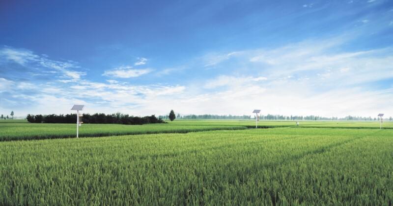 富硒食品有哪些种类(富硒食品的作用)-硒宝网