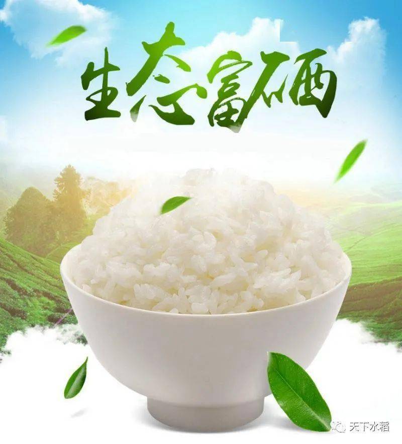 吉内得富硒大米怎么样（吉内得富硒大米产地在哪）-硒宝网