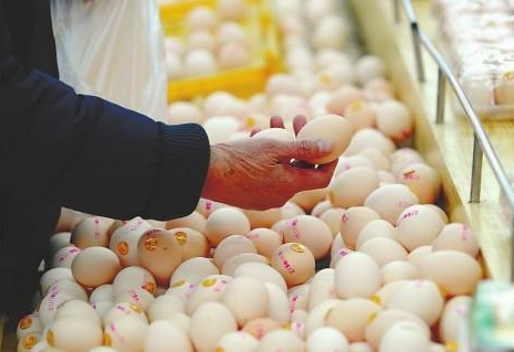 富硒鸡蛋多少钱一斤（富硒鸡蛋的价格）-硒宝网