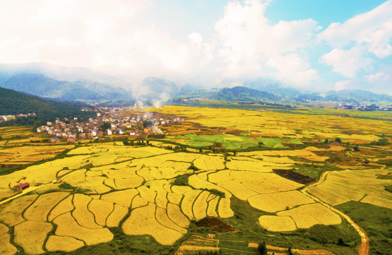 吉内得富硒大米(大米吉富硒得内含量高吗)-硒宝网