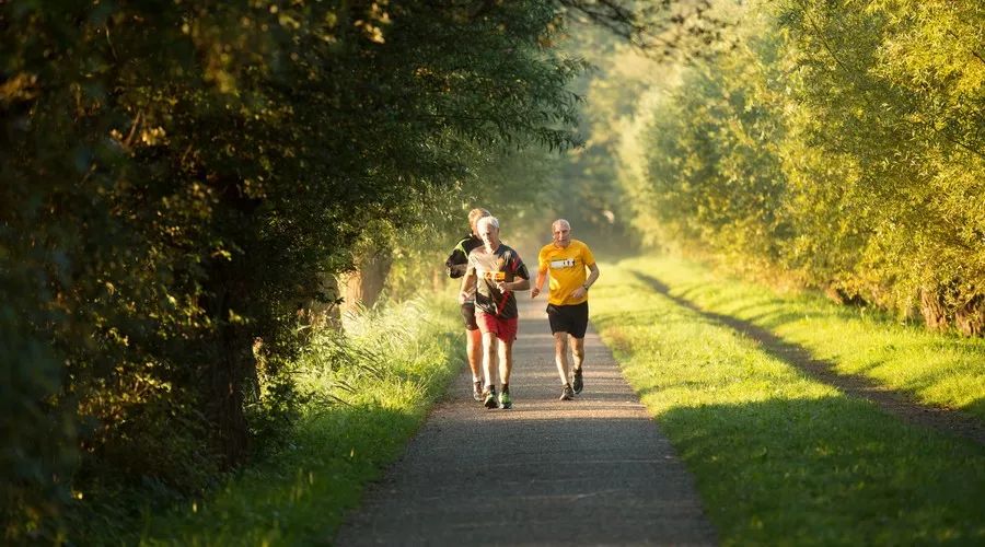 硒元素对人体有什么好处（硒元素在人体中的重要作用）-硒宝网