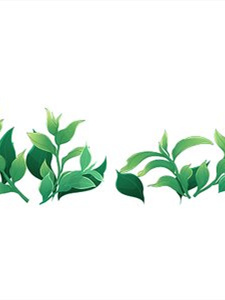 含硒的茶叶有哪些（硒茶对人功效和好处）-硒宝网