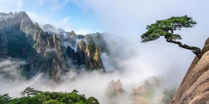池州富硒大山村（安徽池州富硒村）-硒宝网