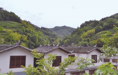 恩施硒茶是绿茶吗（恩施硒绿茶多少钱一斤）-硒宝网