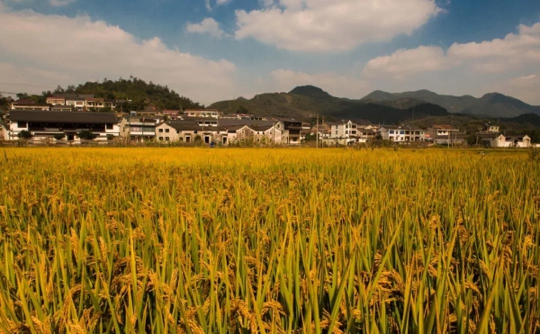 哪里是高硒地区（我国高硒地区）-硒宝网