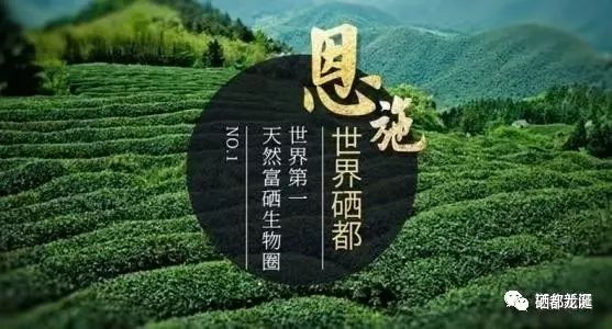 硒的功能有哪些？（硒对人生理的神奇功效）-硒宝网