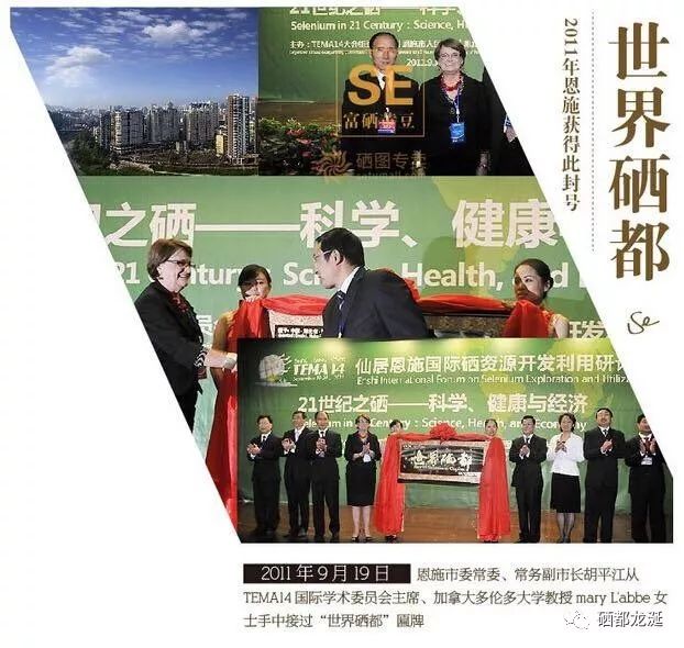 硒的功能有哪些？（硒对人生理的神奇功效）-硒宝网